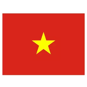 Vietnamesisk flagg vektor