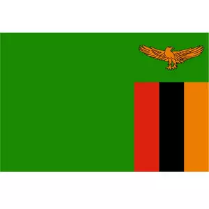 Vektor flagga Zambia