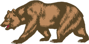 Zoo orso immagine vettoriale
