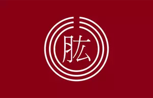 Bandiera ufficiale di illustrazione vettoriale Hijikawa