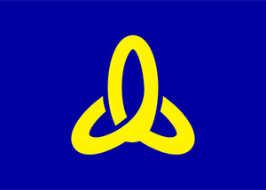 Bandera oficial de Kui vector de la imagen
