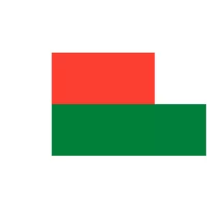 Vector drapeau de Madagascar