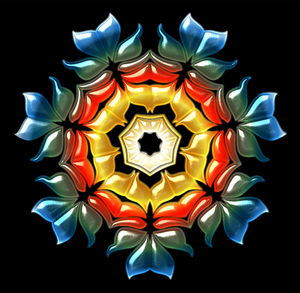 Vektor-Illustration Sterne Knospe abstrakte Blume auf schwarzem Hintergrund