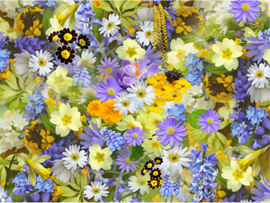 Colorful flowery background