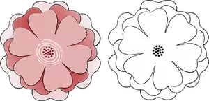 Två blommor