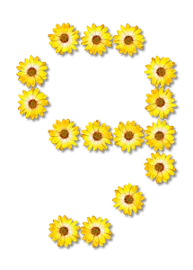 Kuning bunga nomor sembilan