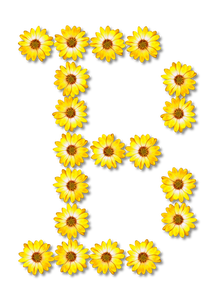 Flowery letter D