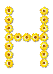 H gemaakt met bloemen
