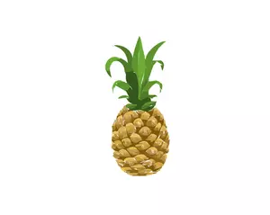 Ananas afbeelding