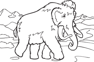 Colorear elefante libro clip arte vectorial