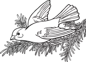 Vektortegning willow Stillits fugl
