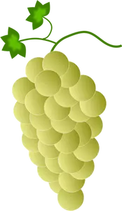 Kuning anggur