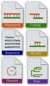 Bioinformatica pictograma set