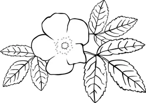 Vektor image for strekbilder rose i svart-hvitt