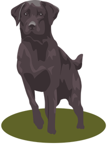 Zwarte lab hond vector afbeelding