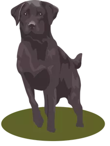 Imagen de vector de perro labrador negro