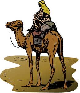 Bild vom Kamel mit Fahrer in Vektor