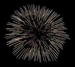 Fireworks vector image
