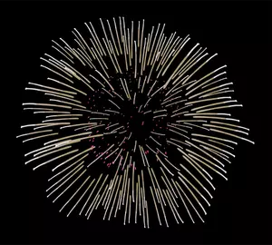 Immagine vettoriale di fuochi d'artificio