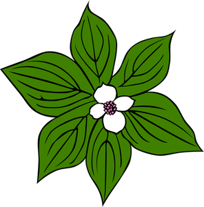 Fiore con foglie verdi arte vettoriale