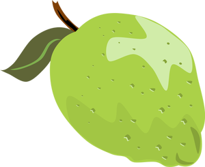 Lime vektor illustration med blad