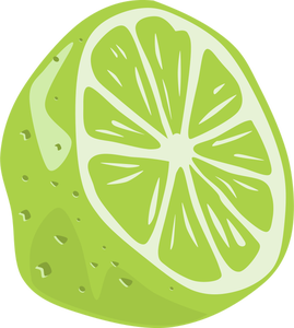 Half a lime fruit vector drawing