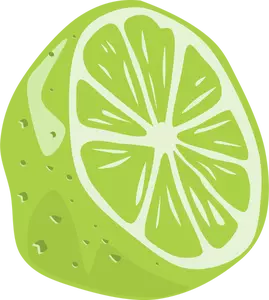 Half a lime fruit vector drawing