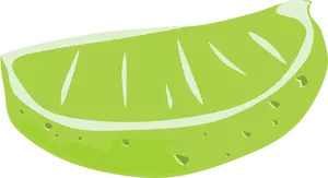 Sliced lime vector drawing