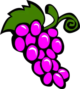 Vector afbeelding van druiven