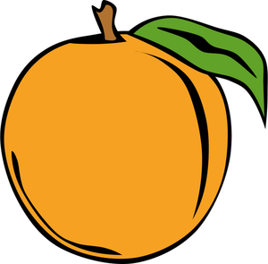 Peach fruit vector clip art