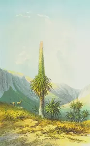 Jättiläinen kasvi