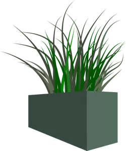 Hierba en plantadora cuadrada