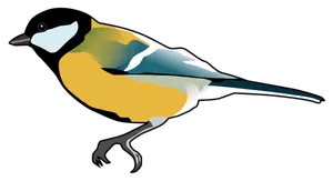 Illustrazione dell'uccello Tit grande