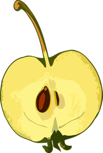 Siemenet ja omena