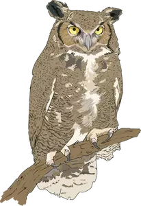 Standing owl