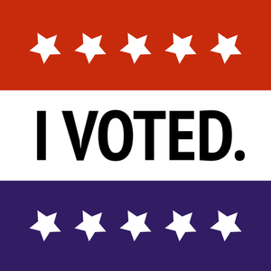 Äänestin USA:n vaalilipun vektoripiirustus