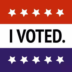 Ho votato ci disegno vettoriale di elezione banner