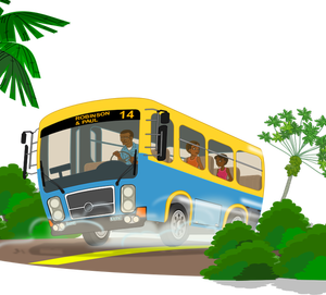 Bus van de school van het eiland