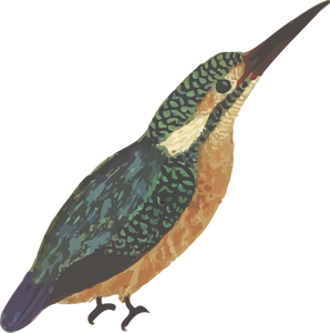 Uccello del Martin pescatore in immagine di vettore di colore pieno