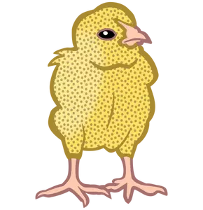 Färgade kyckling