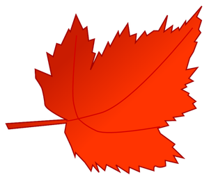 Red and orange maple leaf vector image