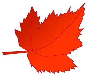 Red and orange maple leaf vector image
