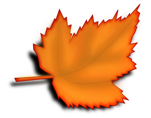 Yellow autumn maple leaf vector image