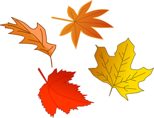 Immagine vettoriale selezione di foglie d'autunno