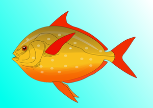 Fish vector art