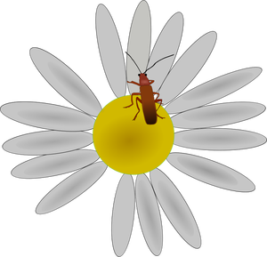 Bug op een vector bloem