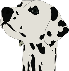Caine dalmatian portret vector imagine