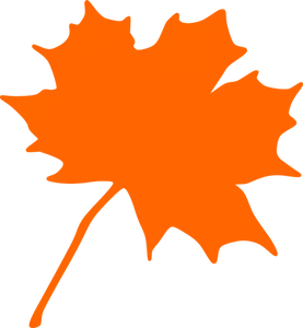 Maple leaf vector image
