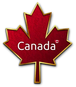 Maple leaf with golden trim vector