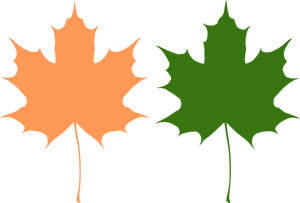 Hojas de arce naranja y verde dibujo vectorial